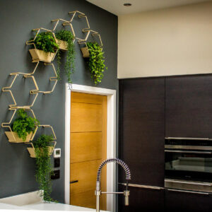 Plant Wall